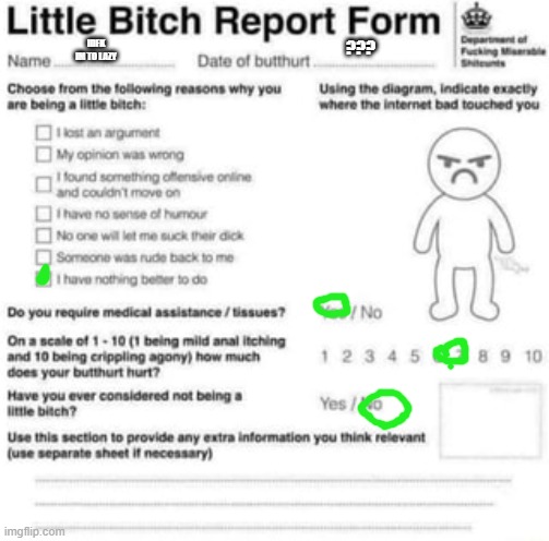 bitchass report form | IDFK IM TO LAZY ??? | image tagged in bitchass report form | made w/ Imgflip meme maker