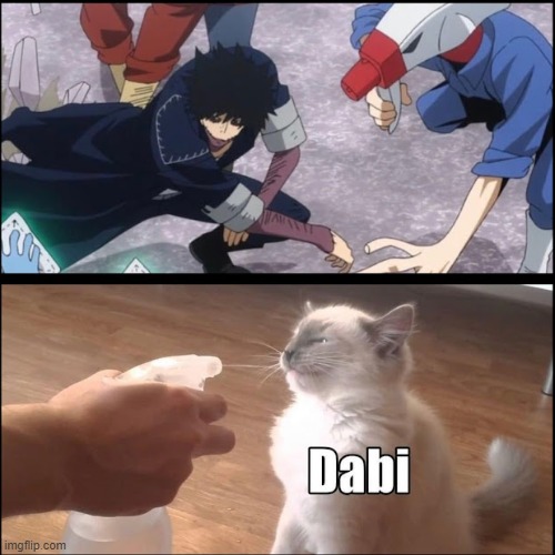 Image tagged in memes,anime meme,my hero academia,cats - Imgflip