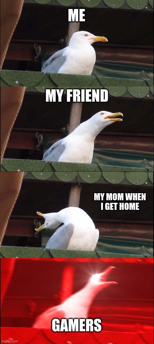 Inhaling Seagull | ME; MY FRIEND; MY MOM WHEN I GET HOME; GAMERS | image tagged in memes,inhaling seagull | made w/ Imgflip meme maker