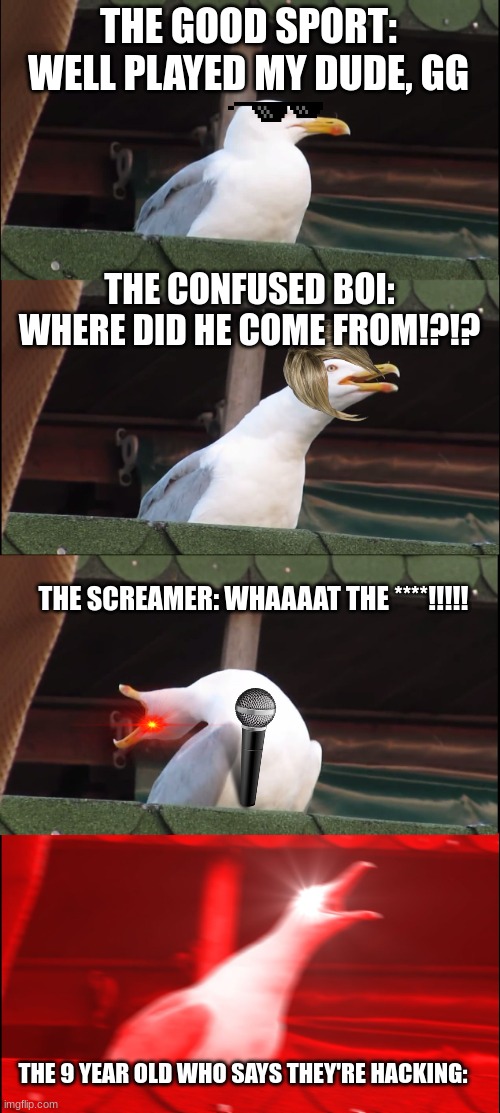 Player stereotypes | THE GOOD SPORT: WELL PLAYED MY DUDE, GG; THE CONFUSED BOI: WHERE DID HE COME FROM!?!? THE SCREAMER: WHAAAAT THE ****!!!!! THE 9 YEAR OLD WHO SAYS THEY'RE HACKING: | image tagged in memes,inhaling seagull | made w/ Imgflip meme maker