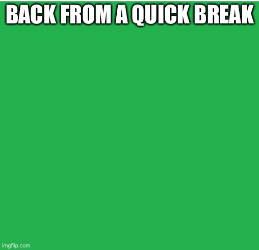 Green Screen | BACK FROM A QUICK BREAK | image tagged in green screen | made w/ Imgflip meme maker