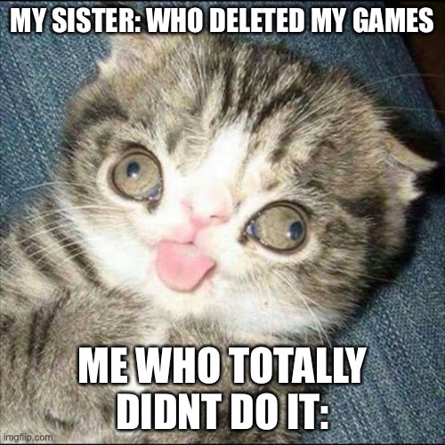 Derp Cat | MY SISTER: WHO DELETED MY GAMES; ME WHO TOTALLY DIDNT DO IT: | image tagged in derp cat | made w/ Imgflip meme maker