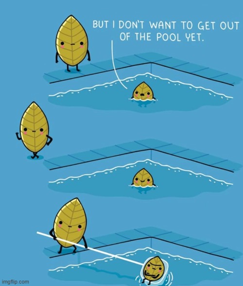 image tagged in comics | made w/ Imgflip meme maker