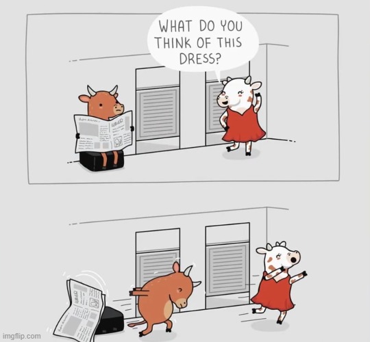 looks like someone has chosen the wrong rope | image tagged in comics | made w/ Imgflip meme maker
