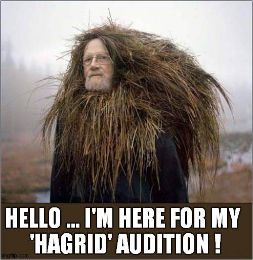 Hairy Hopes ! |  HELLO ... I'M HERE FOR MY 
'HAGRID' AUDITION ! | image tagged in fun,hagrid,harry potter,audition | made w/ Imgflip meme maker