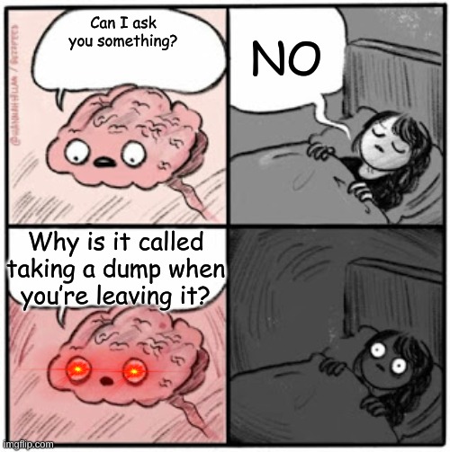 .... | NO; Can I ask you something? Why is it called taking a dump when you’re leaving it? | image tagged in brain before sleep,shower thoughts,question,memes,funny,funny memes | made w/ Imgflip meme maker