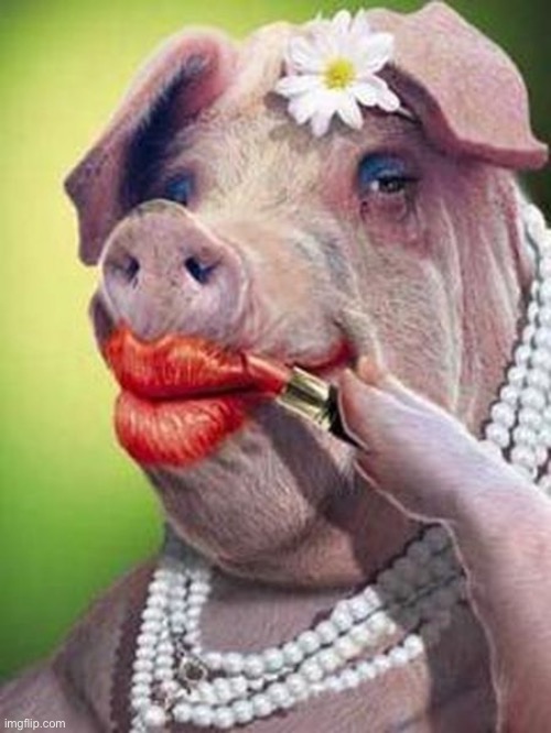 Can't put lipstick on a ___ | image tagged in lipstick on a pig | made w/ Imgflip meme maker