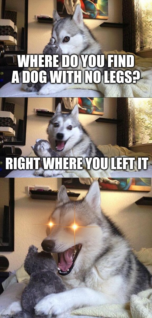 ........... | WHERE DO YOU FIND A DOG WITH NO LEGS? RIGHT WHERE YOU LEFT IT | image tagged in memes,bad pun dog,dark humor,funny,funny memes | made w/ Imgflip meme maker