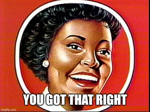 Aunt Jemima | YOU GOT THAT RIGHT | image tagged in aunt jemima | made w/ Imgflip meme maker