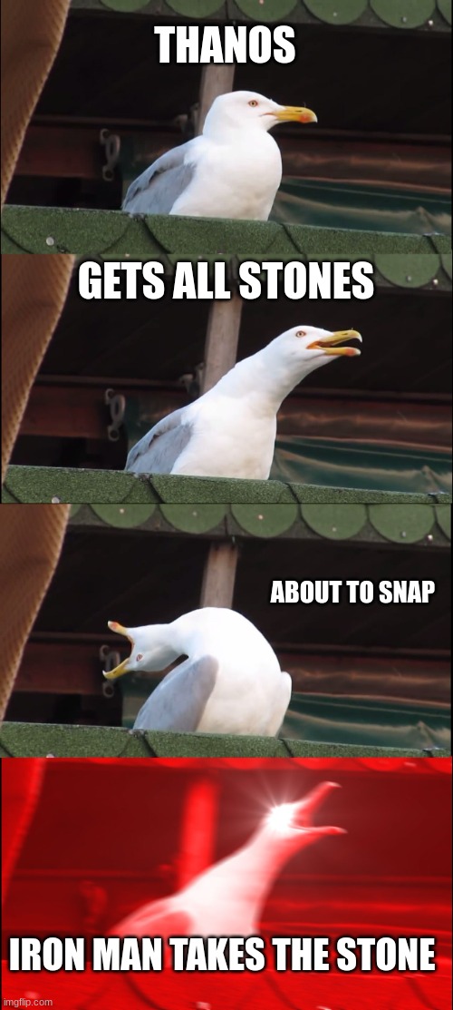 endgame | THANOS; GETS ALL STONES; ABOUT TO SNAP; IRON MAN TAKES THE STONE | image tagged in memes,inhaling seagull | made w/ Imgflip meme maker