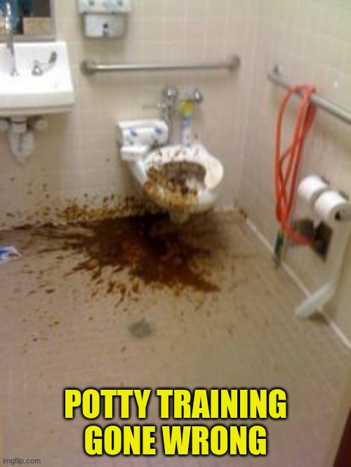 Put some windex on it | POTTY TRAINING GONE WRONG | image tagged in mess | made w/ Imgflip meme maker