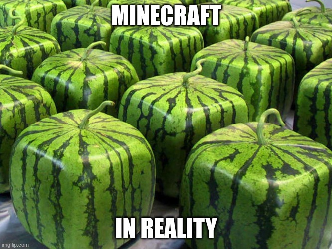 m e l o n s | MINECRAFT; IN REALITY | image tagged in minecraft melons | made w/ Imgflip meme maker