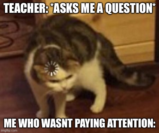 Loading cat | TEACHER: *ASKS ME A QUESTION*; ME WHO WASNT PAYING ATTENTION: | image tagged in loading cat | made w/ Imgflip meme maker