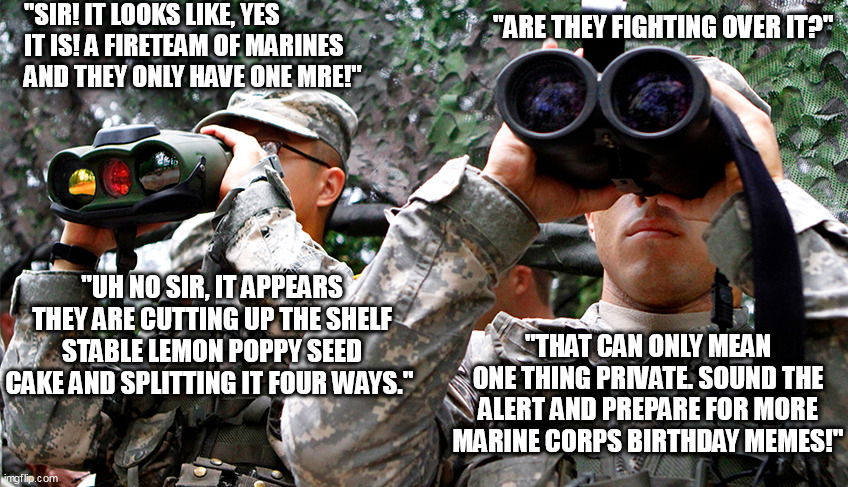 Happy 246th Birthday Marines! 