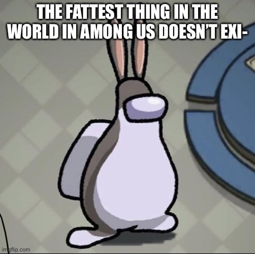 Amchung Us | THE FATTEST THING IN THE WORLD IN AMONG US DOESN’T EXI- | image tagged in amchung us | made w/ Imgflip meme maker