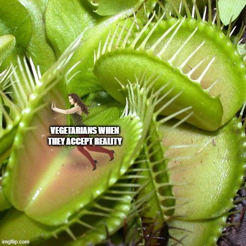 Venus Fly Trap | VEGETARIANS WHEN THEY ACCEPT REALITY | image tagged in venus fly trap | made w/ Imgflip meme maker