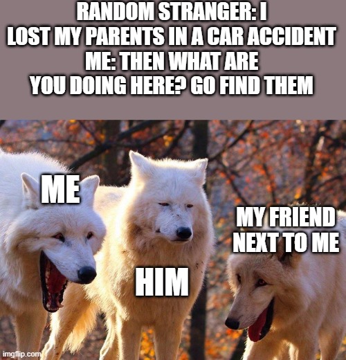 Gangsta | RANDOM STRANGER: I LOST MY PARENTS IN A CAR ACCIDENT
ME: THEN WHAT ARE YOU DOING HERE? GO FIND THEM; ME; MY FRIEND NEXT TO ME; HIM | image tagged in 2/3 wolves laugh | made w/ Imgflip meme maker