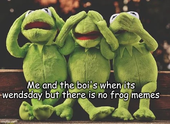 NANI?!?!?!? | Me and the boi's when its Wednesday but there is no frog memes | image tagged in 3 kermits | made w/ Imgflip meme maker