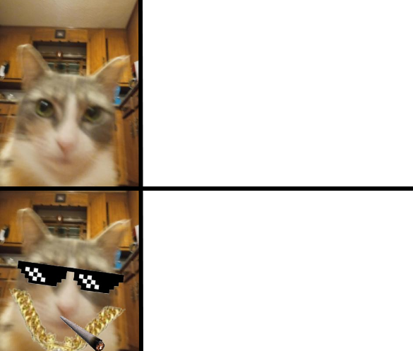 High Quality Cat hotline bling Blank Meme Template