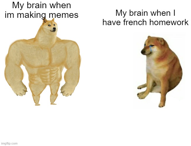 How my brain works: |  My brain when im making memes; My brain when I have french homework | image tagged in memes,buff doge vs cheems | made w/ Imgflip meme maker
