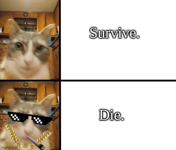 Die. | Survive. Die. | image tagged in cat hotline bling | made w/ Imgflip meme maker