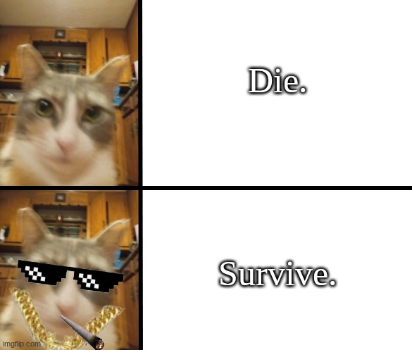 Survive. | Die. Survive. | image tagged in cat hotline bling,survive | made w/ Imgflip meme maker