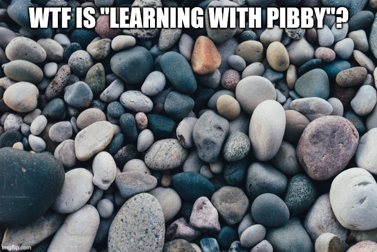 Stones | WTF IS "LEARNING WITH PIBBY"? | image tagged in stones | made w/ Imgflip meme maker