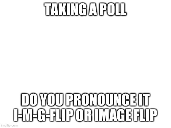 My friend thinks it’s image flip but I’m on the IMG Flip side | TAKING A POLL; DO YOU PRONOUNCE IT I-M-G-FLIP OR IMAGE FLIP | image tagged in blank white template,imgflip,image flip,polls | made w/ Imgflip meme maker