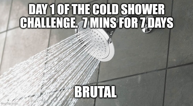 Shower Thoughts | DAY 1 OF THE COLD SHOWER CHALLENGE.  7 MINS FOR 7 DAYS; BRUTAL | image tagged in shower thoughts | made w/ Imgflip meme maker