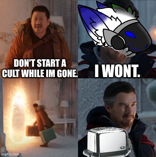 the cult... | I WONT. DON'T START A CULT WHILE IM GONE. | image tagged in doctor strange and wong | made w/ Imgflip meme maker