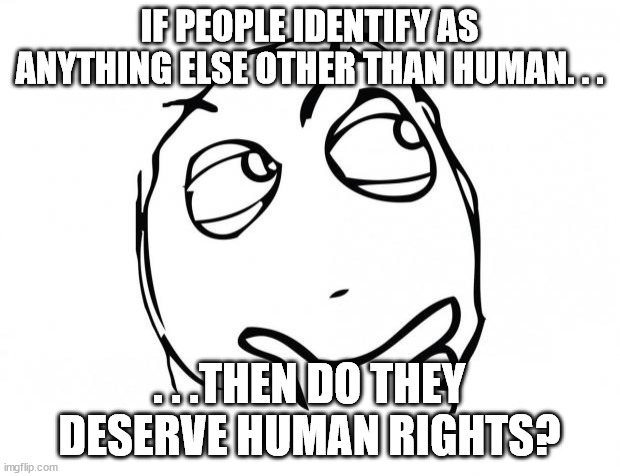 The dangers of 'Labels'. | IF PEOPLE IDENTIFY AS ANYTHING ELSE OTHER THAN HUMAN. . . . . .THEN DO THEY DESERVE HUMAN RIGHTS? | image tagged in meme thinking,human rights,politics,political meme | made w/ Imgflip meme maker