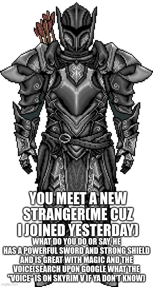 YOU MEET A NEW STRANGER(ME CUZ I JOINED YESTERDAY); WHAT DO YOU DO OR SAY, HE HAS A POWERFUL SWORD AND STRONG SHIELD AND IS GREAT WITH MAGIC AND THE VOICE(SEARCH UPON GOOGLE WHAT THE "VOICE" IS ON SKYRIM V IF YA DON'T KNOW) | made w/ Imgflip meme maker