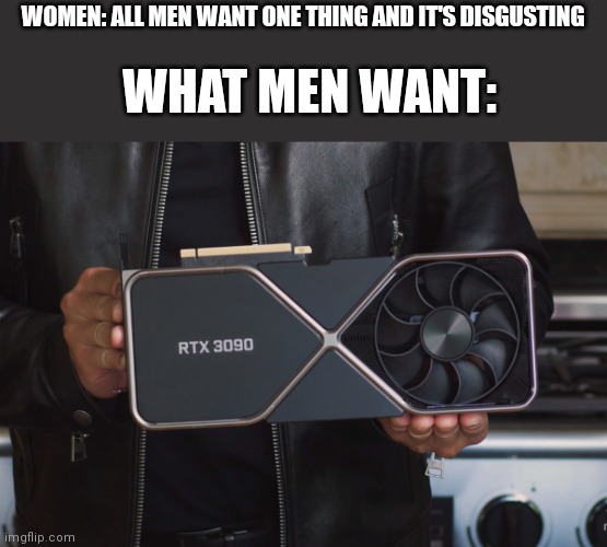 epok rtx 3090!1!111! | WOMEN: ALL MEN WANT ONE THING AND IT'S DISGUSTING; WHAT MEN WANT: | image tagged in rtx 3090 | made w/ Imgflip meme maker