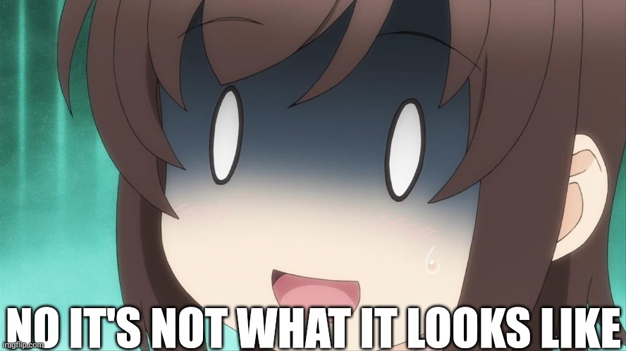 Shocked Anime girl  | NO IT'S NOT WHAT IT LOOKS LIKE | image tagged in shocked anime girl | made w/ Imgflip meme maker