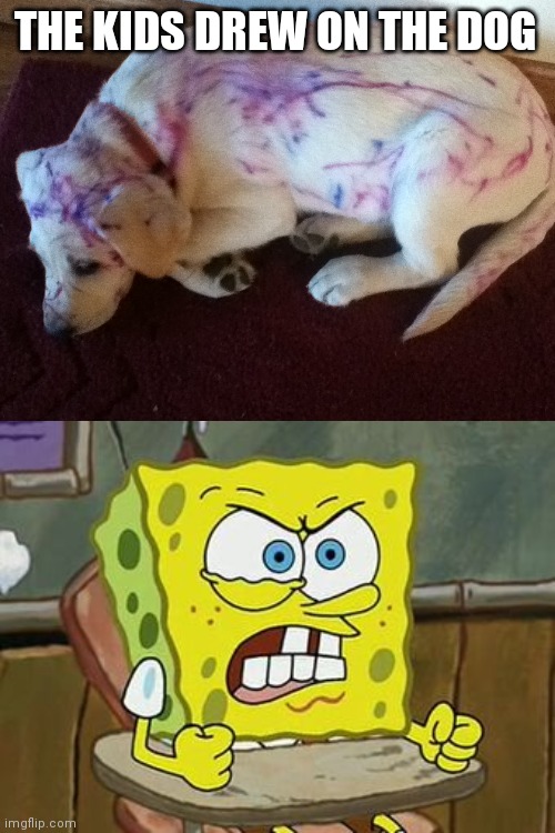 Those kids are MONSTERS. | THE KIDS DREW ON THE DOG | image tagged in pissed off spongebob | made w/ Imgflip meme maker