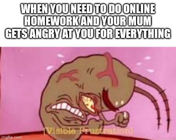 It makes more sense when the electronics aren't working. | WHEN YOU NEED TO DO ONLINE HOMEWORK AND YOUR MUM GETS ANGRY AT YOU FOR EVERYTHING | image tagged in visible frustration | made w/ Imgflip meme maker