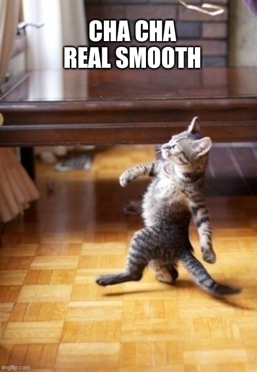 Cool Cat Stroll | CHA CHA REAL SMOOTH | image tagged in memes,cool cat stroll | made w/ Imgflip meme maker