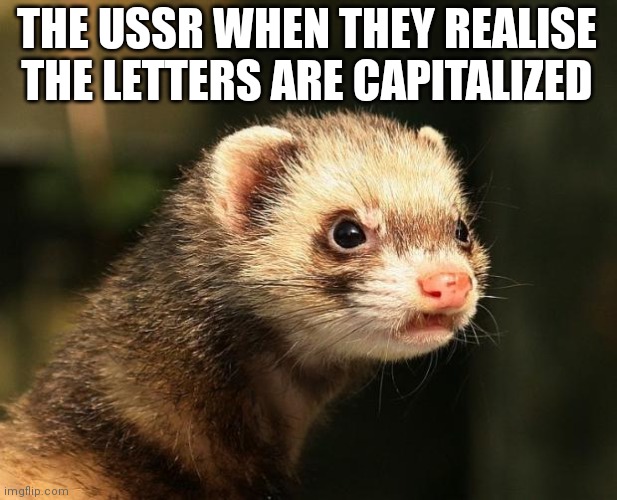 Frustrated Ferret | THE USSR WHEN THEY REALISE THE LETTERS ARE CAPITALIZED | image tagged in frustrated ferret | made w/ Imgflip meme maker