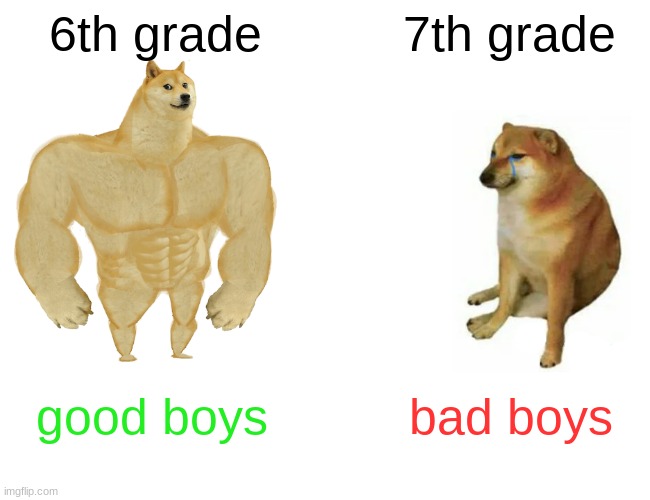 Buff Doge vs. Cheems | 6th grade; 7th grade; good boys; bad boys | image tagged in memes,buff doge vs cheems | made w/ Imgflip meme maker