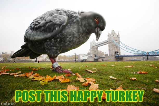 Post this Turkey | POST THIS HAPPY TURKEY | image tagged in post this turkey,cute animals,turkey,happy thanksgiving | made w/ Imgflip meme maker