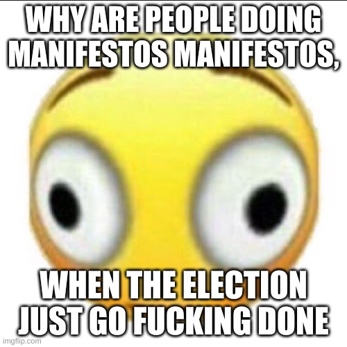 like holy god people, hold off for a bit | WHY ARE PEOPLE DOING MANIFESTOS MANIFESTOS, WHEN THE ELECTION JUST GO FUCKING DONE | image tagged in bonk | made w/ Imgflip meme maker