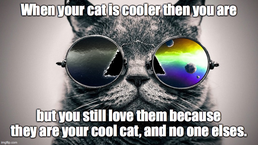 When your cat is cooler then you. | When your cat is cooler then you are but you still love them because they are your cool cat, and no one elses. | image tagged in cool cat,when your cat is cooler then you | made w/ Imgflip meme maker