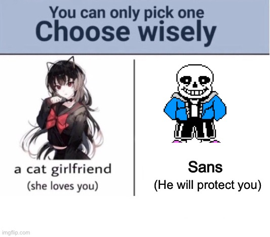 Choose wisely |  Sans; (He will protect you) | image tagged in choose wisely | made w/ Imgflip meme maker