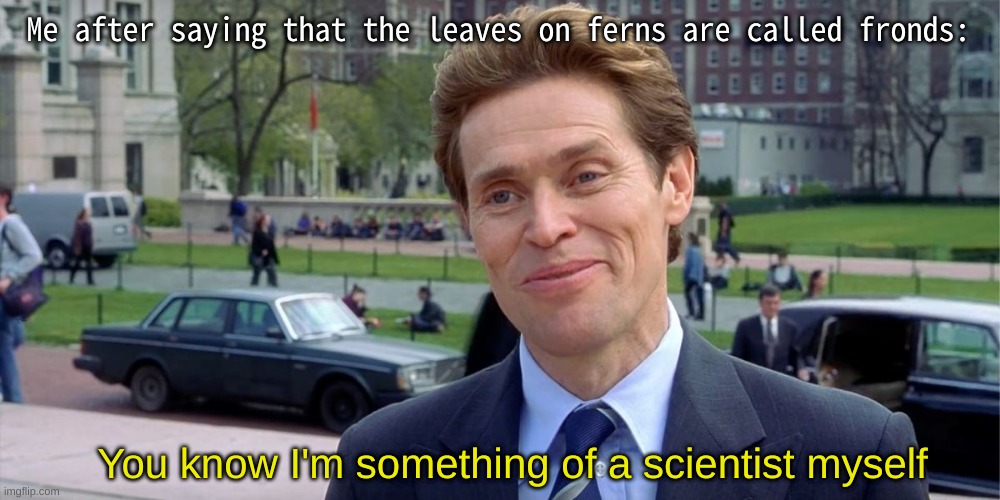 science meme | Me after saying that the leaves on ferns are called fronds:; You know I'm something of a scientist myself | image tagged in you know i'm something of a scientist myself | made w/ Imgflip meme maker