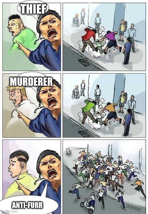 Thief Murderer | THIEF; MURDERER; ANTI-FURR | image tagged in thief murderer | made w/ Imgflip meme maker