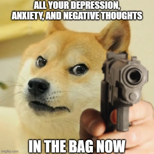 right now. | ALL YOUR DEPRESSION, ANXIETY, AND NEGATIVE THOUGHTS; IN THE BAG NOW | image tagged in angry doge,robbery,wholesome | made w/ Imgflip meme maker
