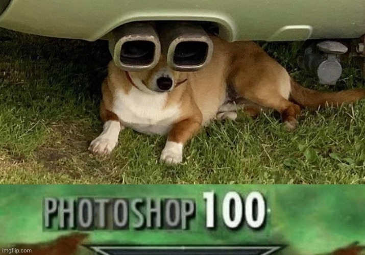 Wow. An Exhaust Eye | image tagged in photoshop 100,illusion 100,sneak 100,memes,funny,dogs | made w/ Imgflip meme maker