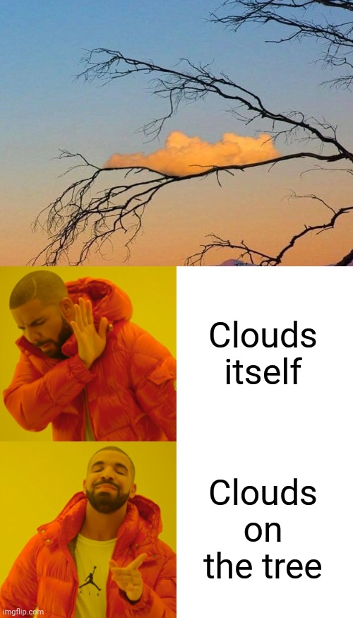 If you notice your eyes could imagine something on there... |  Clouds itself; Clouds on the tree | image tagged in memes,drake hotline bling,funny,photoshopped 100,clouds,illusion 100 | made w/ Imgflip meme maker