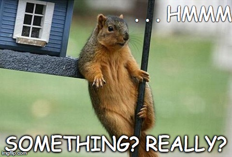 . . . HMMM SOMETHING? REALLY? | image tagged in hey squirrel | made w/ Imgflip meme maker