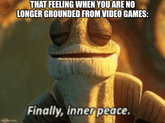 Sorry that I barely posted anything. I was grounded for something I didn't do | THAT FEELING WHEN YOU ARE NO LONGER GROUNDED FROM VIDEO GAMES: | image tagged in finally inner peace,grounded,why are you reading this,oh wow are you actually reading these tags | made w/ Imgflip meme maker
